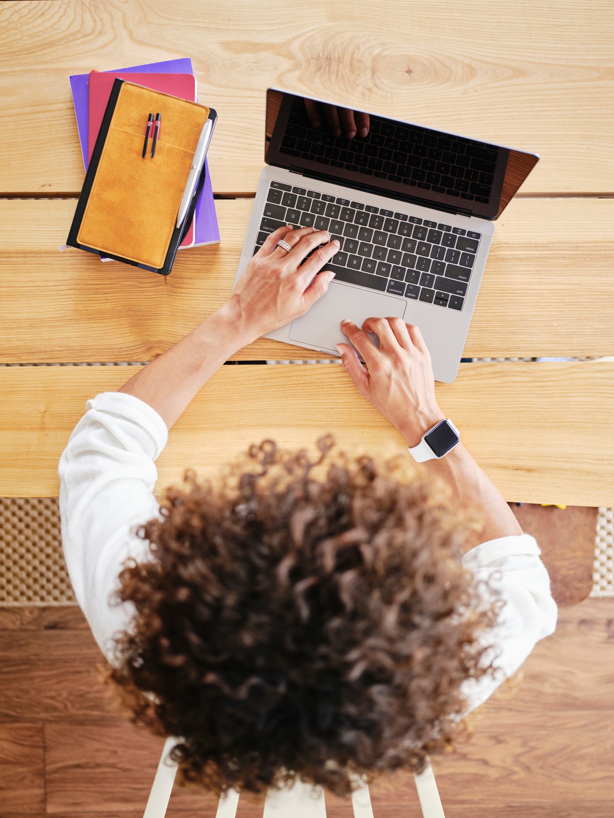 Young Woman Computer Learning